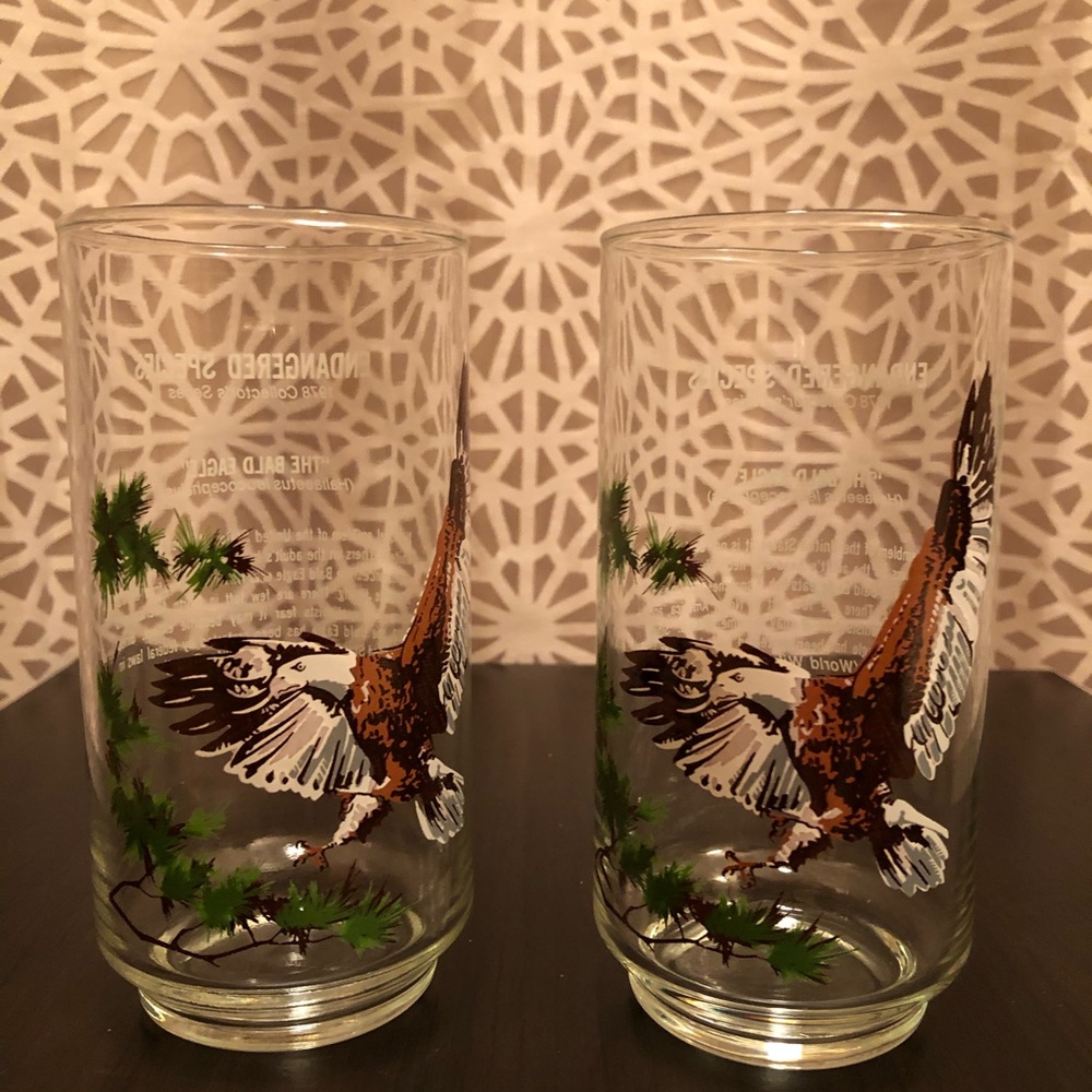 Vintage 1978 Collector’s Series Bald Eagle Glasses